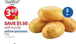 Lidl yellow potatoes offer