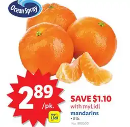Lidl mandarins offer