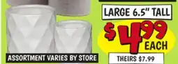Ollie's LARGE 6.5 TALL offer