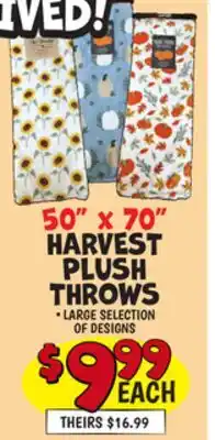 Ollie's 50 X 70 HARVEST PLUSH THROWS offer