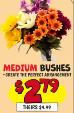 Ollie's MEDIUM BUSHES offer