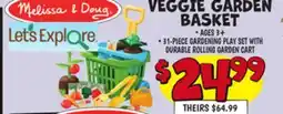 Ollie's VEGGIE GARDEN BASKET offer