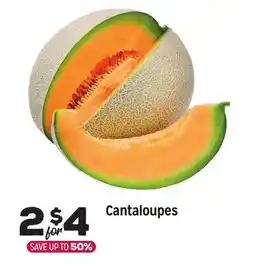 Grocery Outlet Cantaloupes offer