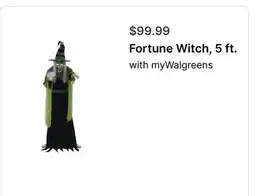 Walgreens Fortune Witch, 5 ft offer