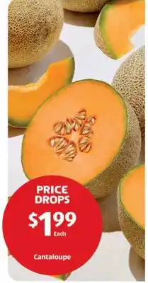 Aldi Cantaloupe offer