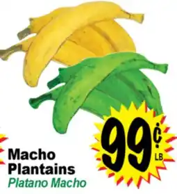 Superior Grocers Macho Plantains offer