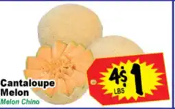 Superior Grocers Cantaloupe Melon offer