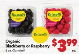 Vallarta Supermarkets Organic Blackberry or Raspberry offer
