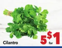 Vallarta Supermarkets Cilantro offer