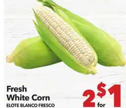 Vallarta Supermarkets Fresh White Corn / ELOTE BLANCO FRESCO offer