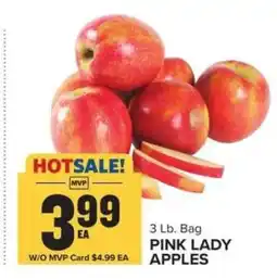 Food Lion Pink Lady Apples offer