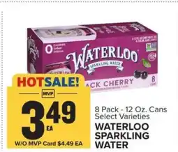 Food Lion Waterloo Sparkling Water offer