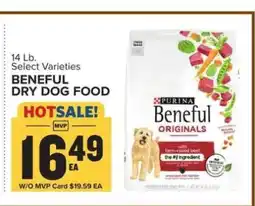 Food Lion Beneful Dry Dog Food offer