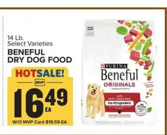 Food Lion Beneful Dry Dog Food offer