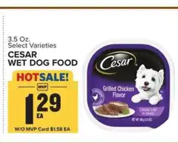 Food Lion Cesar Wet Dog Food offer