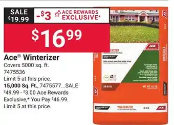 Ace Hardware Ace Winterizer offer
