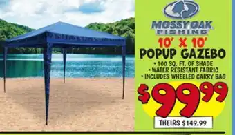 Ollie's 10' X 10' POPUP GAZEBO offer