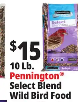 Ocean State Job Lot 10 Lb. Pennington Select Blend Wild Bird Food offer