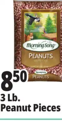 Ocean State Job Lot Morning Song Wildlife Food Peanuts 3 lbs offer