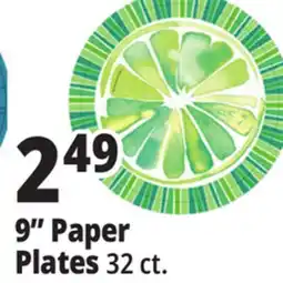Ocean State Job Lot 9 Paper Plates offer