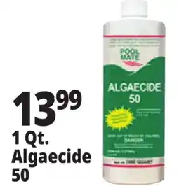 Ocean State Job Lot Pool Mate Algaecide 50 1 Qt offer