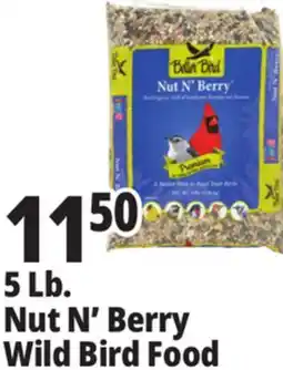 Ocean State Job Lot Better Bird Premium Nut N' Berry Bird Food 5 lbs offer