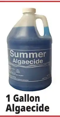 Ocean State Job Lot Summer Algaecide 1 Gal offer