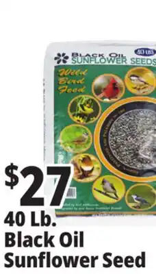 Ocean State Job Lot Black Oil Sunflower Seeds 40 lbs offer