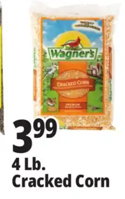 Ocean State Job Lot Wagner's Cracked Corn Wild Bird Food 4 lbs offer