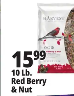 Ocean State Job Lot Harvest Seed & Supply Red Berry & Nut Wild Bird Food 10 lb offer