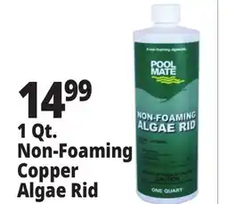 Ocean State Job Lot Pool Mate Non-Foaming Algae Rid 1 Qt offer