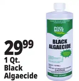 Ocean State Job Lot Pool Mate Black Algaecide 1 Qt offer