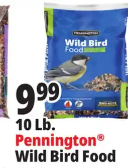 Ocean State Job Lot Pennington Wild Bird Food 10 lbs offer
