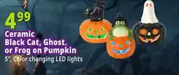 Ocean State Job Lot Black Cat On Pumpkin LED Ceramic offer