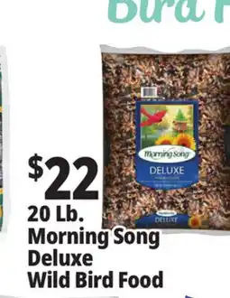 Ocean State Job Lot Morning Song Deluxe Wild Bird Food 20 lbs offer