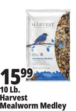 Ocean State Job Lot Harvest Seed & Supply Mealworm Medley Wild Bird Food 10 lb offer