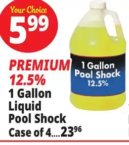 Ocean State Job Lot Liquid Pool Shock 1 Gal offer
