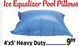 Ocean State Job Lot SwimWorks Heavy-Duty Pool Pillow 4' x 5' offer