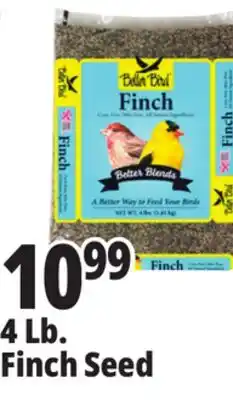 Ocean State Job Lot Better Bird Finch Bird Food 4 lbs offer