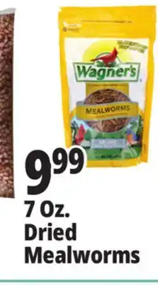 Ocean State Job Lot Wagner's Bird Meal Worms 7oz offer