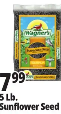 Ocean State Job Lot Sunflower Seed offer