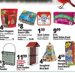 Ocean State Job Lot Seed & Suet Value Packs offer