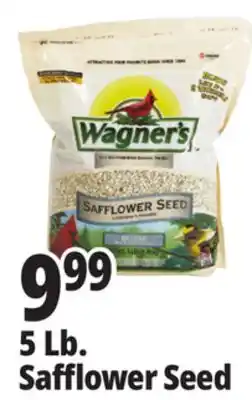 Ocean State Job Lot Wagner's Safflower Seed Deluxe Wild Bird Food offer