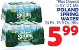 Bravo Supermarkets POLAND SPRING WATER offer