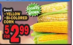 Bravo Supermarkets YELLOW, BI-COLORED CORN offer