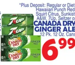 Bravo Supermarkets CANADA DRY GINGER ALE offer