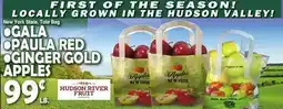 Bravo Supermarkets GALA, PAULA RED, GINGER GOLD, APPLES offer