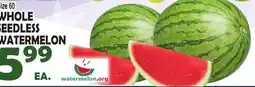 Bravo Supermarkets WHOLE SEEDLESS WATERMELON offer