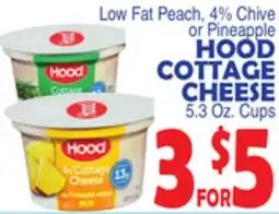 Bravo Supermarkets HOOD COTTAGE CHEESE offer