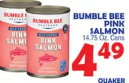 Bravo Supermarkets BUMBLE BEE PINK SALMON offer